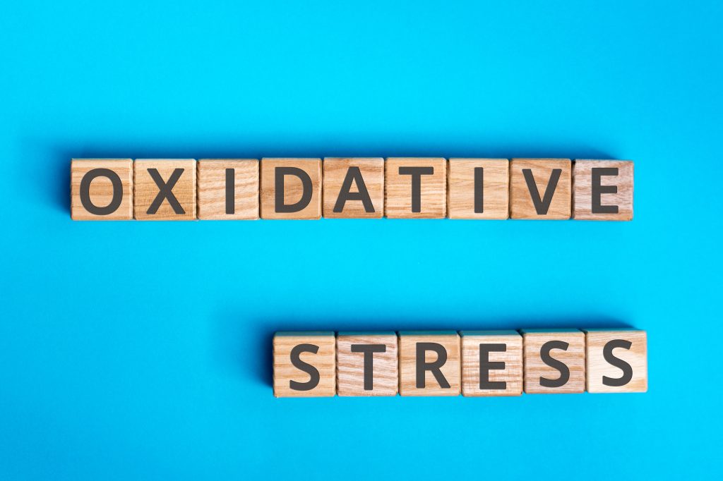 “Oxidative stress” written on blocks
