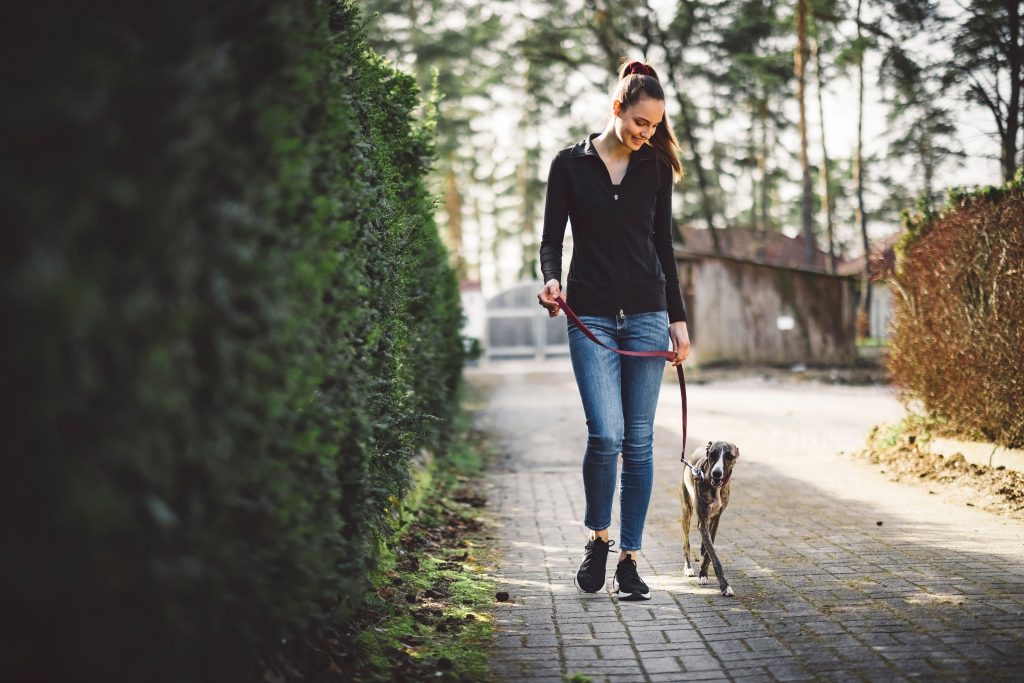 Woman walking dog