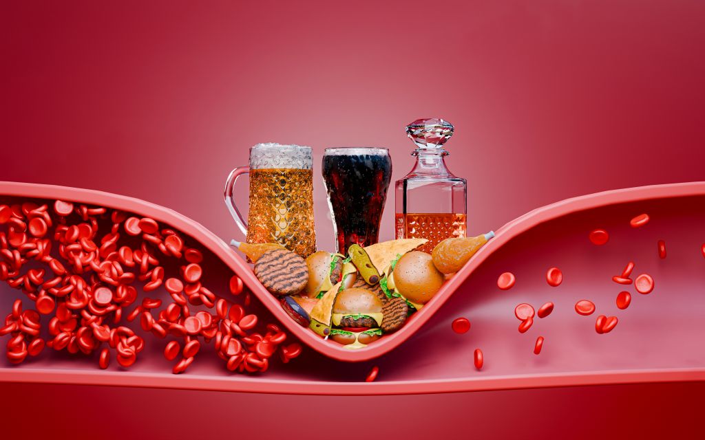Junk food health concept